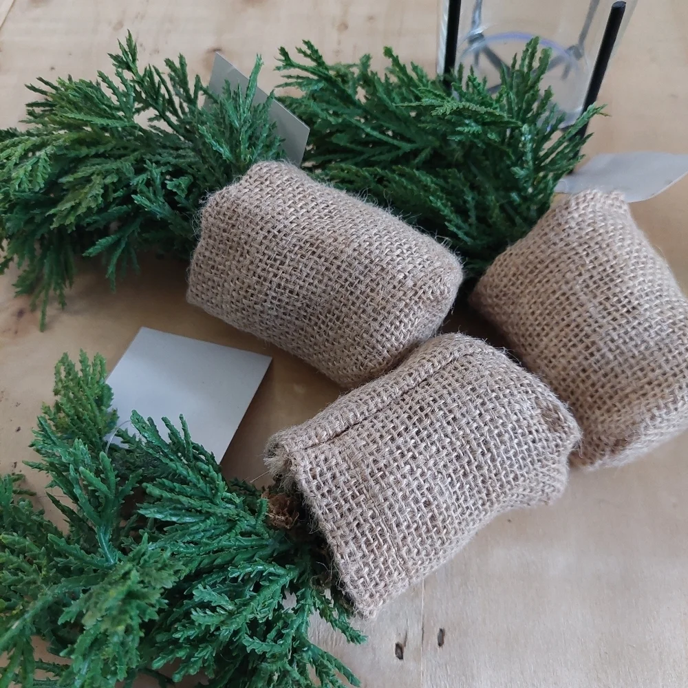 NEW WITH TAGS 3pcs At HOME Plants Set Burlap BAG  Small Greenery. (A)